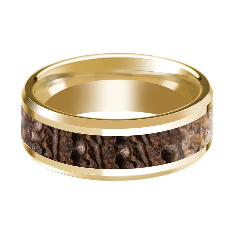 ACHEULIAN | 14k Yellow Gold Brown Dinosaur Bone Inlay