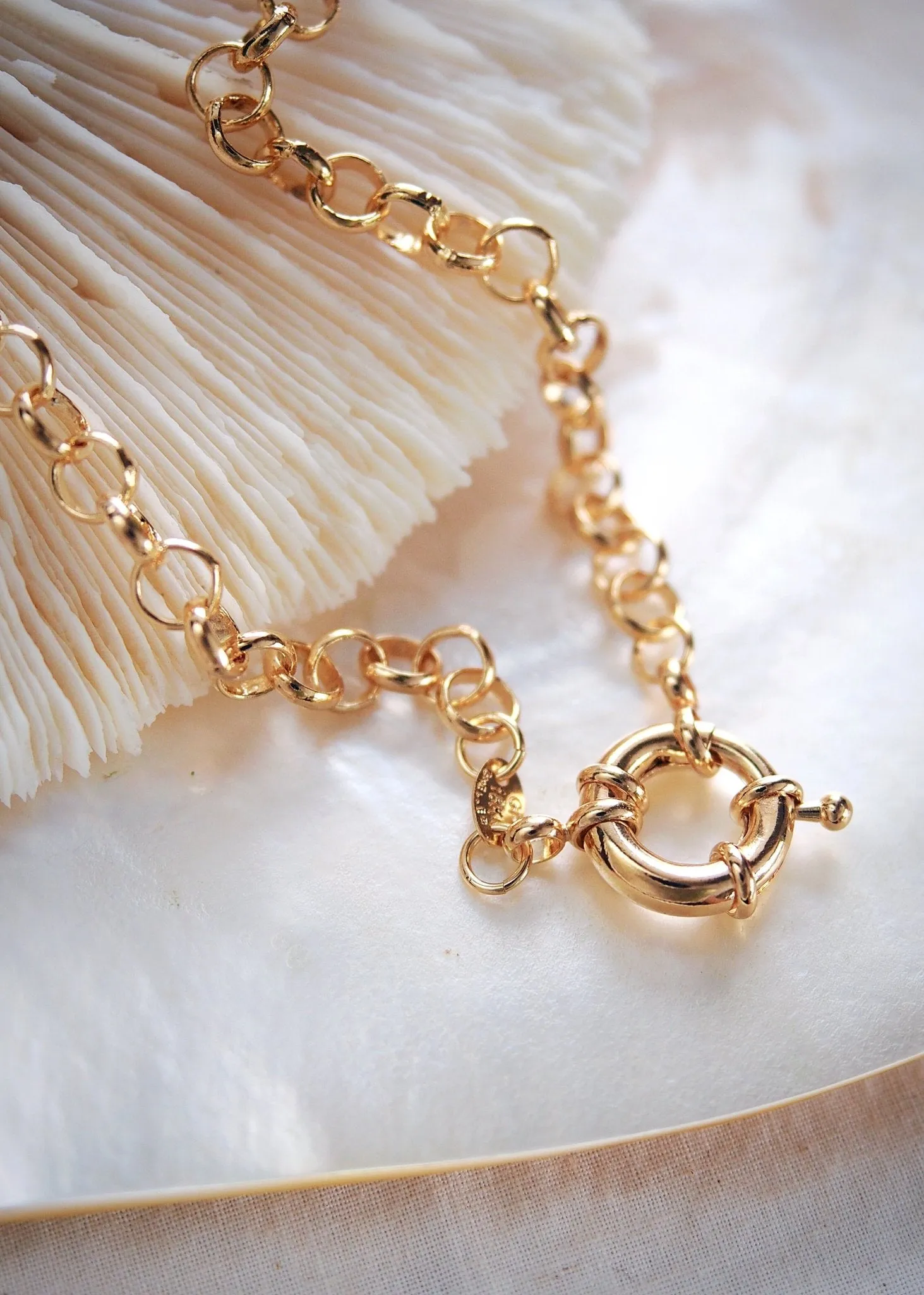 Gold Filled Heavy Rolo Chain Necklace with Focal Clasp - Lilo