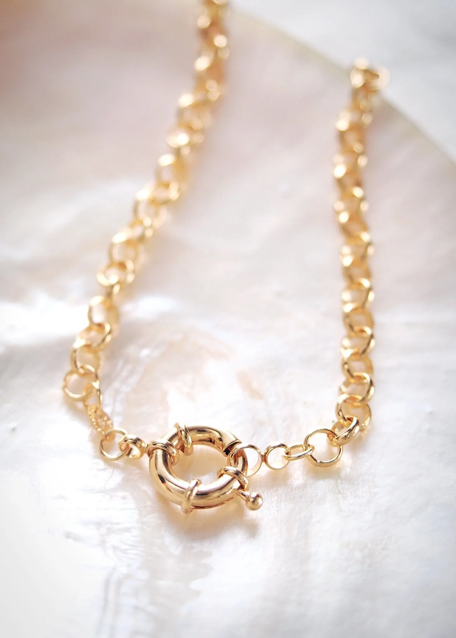 Gold Filled Heavy Rolo Chain Necklace with Focal Clasp - Lilo
